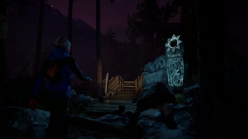 Through the Woods 4