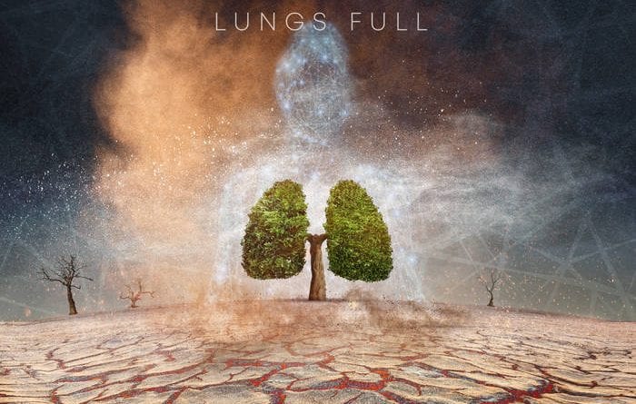Lungs