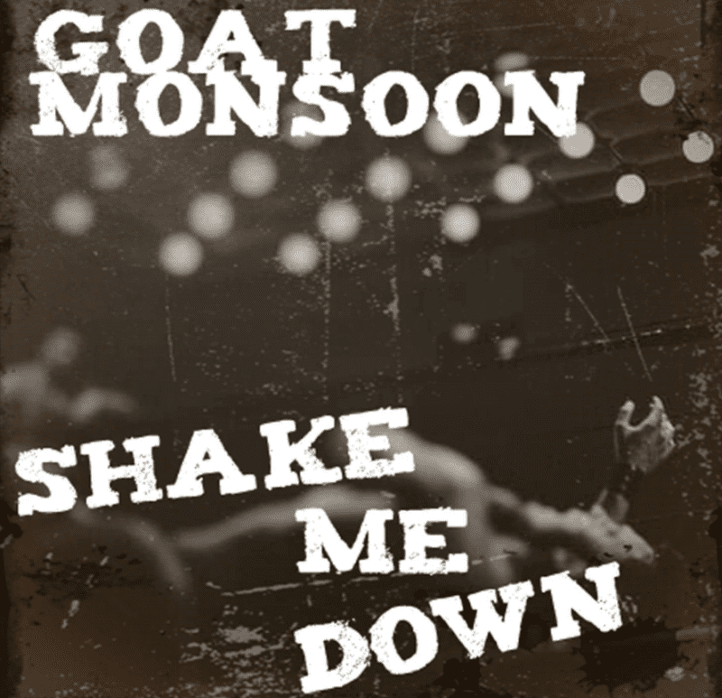 Shake Me Down