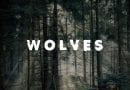 Wolves 2