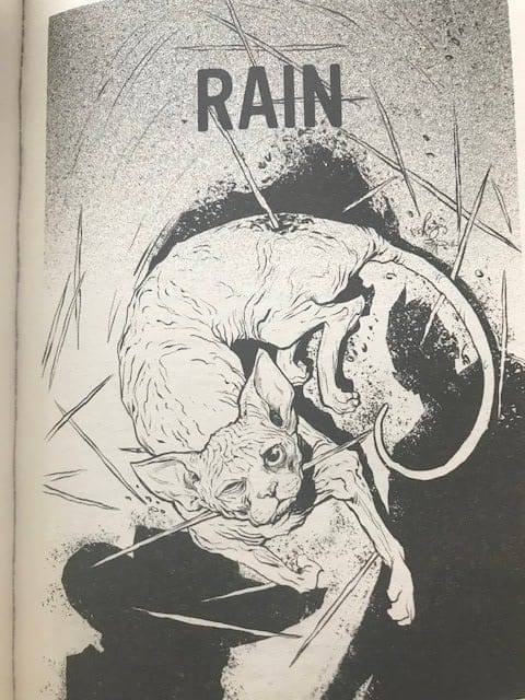 Strange Weather