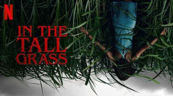 In the tall grass