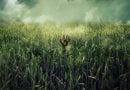 In the tall grass