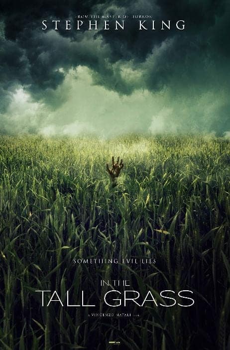 In the tall grass