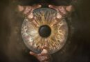 Search of Sight Ocular