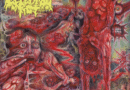 Cerebral Rot Excretion of Mortality album cover