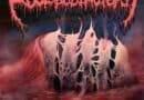 Foul Body Autopsy Shadows Without Light Part Two Artwork