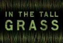 In the Tall Grass Stephen King and Joe Hill