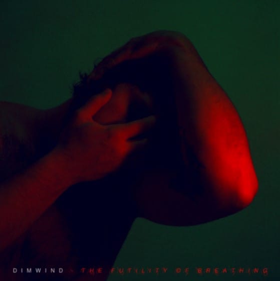 Dimwind The Futility of Breathing artwork