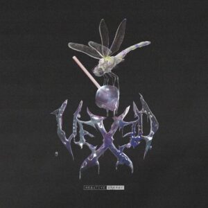 Vexed Negative Energy Cover