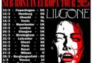 Tribulation Sub Rosa Tour poster