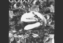 False Gods - Lost In Darkness And Distance Artwork