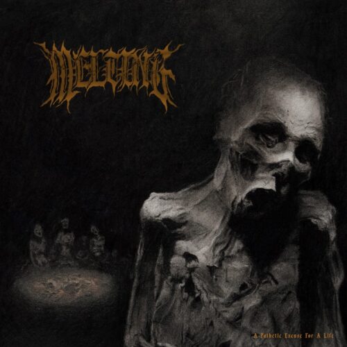 Melting - A Pathetic Excuse For A Life - Artwork