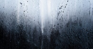 EP Review: GRINN – Silence (Self Released)
