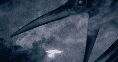 Insomnium - Netherworlds Artwork 2026